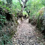 Turisticos Casa Dos Pulidos *