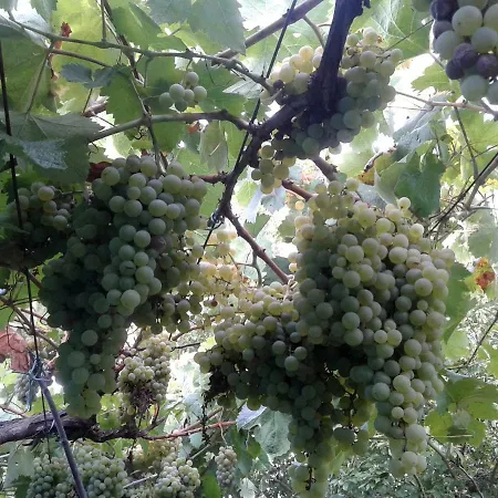 Turísticos Casa Dos Pulidos Apartamento Olas de Villarino
