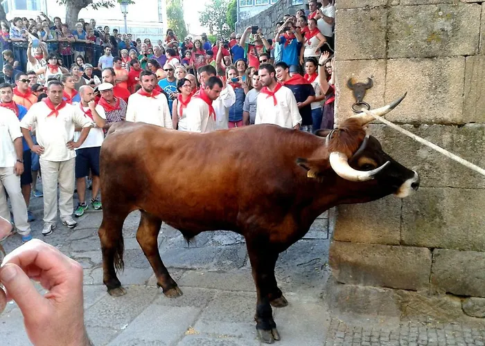 Turisticos Casa Dos Pulidos 아파트 *